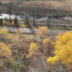 2.00 acres in Radisson, WI (Sawyer County) - APN 004-738-07-4404 (photo 15)